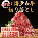 【ふるさと納税】訳あり！博多和牛切り落とし 5kg(500g×10p) [a9446] 株式会社Meat Plus ※配送不可：離島【返礼品】添田町 ふるさと納税