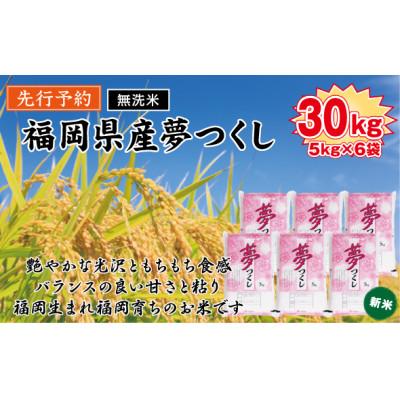 ふるさと納税 赤村 《無洗米》【8年産　新米】9月〜発送【食味鑑定士厳選】福岡県産 夢つくし30k(5k×6袋)(赤村)