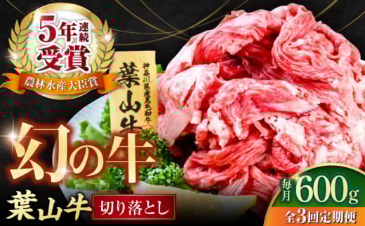 【全3回定期便】葉山牛 切り落とし300g×2パック 国産牛 牛肉 切り落とし 高級和牛 冷凍 黒毛和牛 国産 希少品種 小分け 横須賀 すき焼き すきやき ぎゅうにく きりおとし 大容量 神奈川銘品 計600g【株式会社羽根】 [AKAG027]