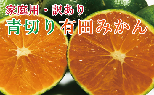 【先行予約】【2024年9月中旬～10月中旬頃発送予定】【初秋の美味】【農家直送】有田育ちのご家庭用訳あり濃厚青切り有田みかん　約5kg　【ard045A】