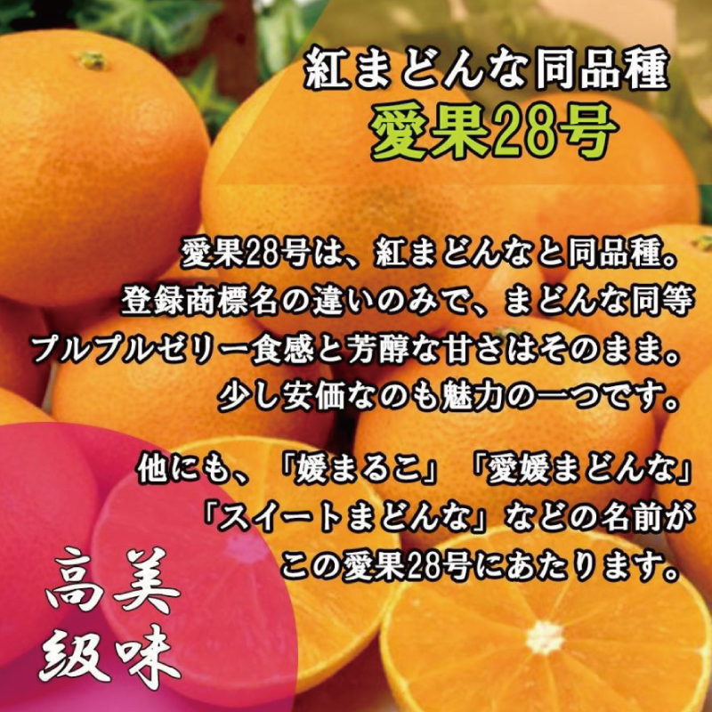 【先行予約】【2025年11月下旬以降順次発送】訳あり 家庭用 愛果28号 約5kg あいか みかん 柑橘 紅まどんな と同品種 愛媛県 松山市