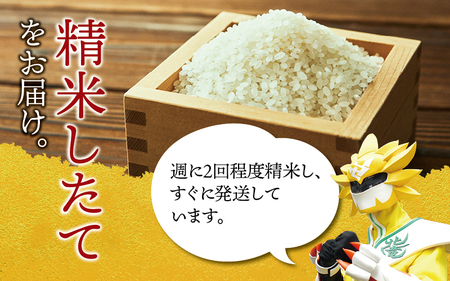 【定期便3ヶ月】令和7年産 ゆめぴりか 5kg×3回【sun500-yume-r5x3-R7B】