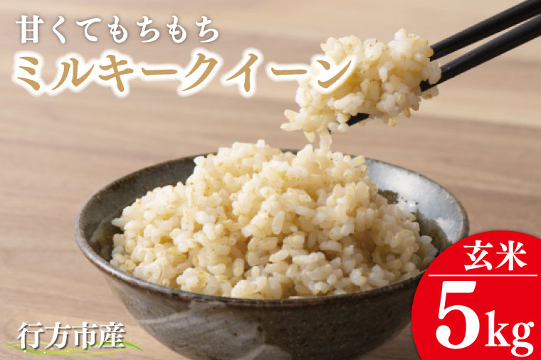 
                  ★令和8年度産 新米★甘くてもちもち ミルキークイーン5kg(玄米)｜米 お米 こめ ミルキークイーン 令和8年産 R8年産 玄米 茨城県 行方市(BR-9)
                