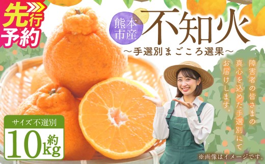 ＜ R8年熊本地震復興支援 ＞不知火（デコポンと同品種）【手選別まごころ選果】約10kg サイズ不選別 しらぬい 柑橘 くだもの 果物 フルーツ 【2027年2月上旬～4月上旬発送予定】