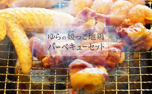 
ゆらの媛っこ地鶏ＢＢＱセット（約1.5kg）
