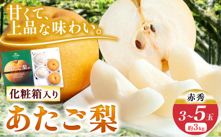 あたご梨 3～5玉 約3kg 化粧箱 石原果樹園 赤秀 《11月下旬-12月下旬頃より発送予定》｜ 岡山県 浅口市 梨梨梨梨梨梨梨梨梨梨梨梨梨梨梨梨梨梨梨梨梨梨梨梨梨梨梨梨梨梨梨梨梨梨梨梨梨梨梨梨梨梨梨梨梨梨梨梨梨梨梨梨梨梨梨梨梨梨梨梨梨梨梨梨梨梨梨梨梨梨梨梨梨梨梨梨梨梨梨梨梨梨梨梨梨梨梨梨梨梨梨梨梨梨梨梨梨梨梨梨梨梨梨梨梨梨梨梨梨梨梨梨梨梨梨梨梨梨梨梨梨梨梨梨梨梨梨梨梨梨梨梨梨梨梨梨梨梨梨梨梨梨梨梨梨梨梨梨梨梨梨梨梨梨梨梨梨梨梨梨梨梨梨梨梨梨梨梨梨梨梨梨梨梨梨梨梨梨梨梨梨梨梨梨梨梨梨梨梨梨梨梨梨梨梨梨梨梨