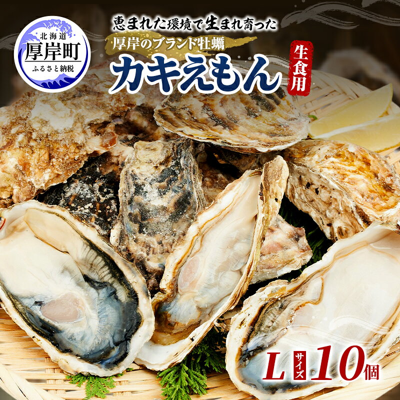 【ふるさと納税】牡蠣 厚岸のブランド牡蠣 生食用 カキえもん Lサイズ 10個 [ 魚貝類 海鮮 海のミルク 国産 生食用殻付き牡蠣 まろやか クリーミー 食べやすい品種 海の香り 牡蠣の酒蒸し 焼き牡蠣 ]　お届け：2026年11月～12月20日まで