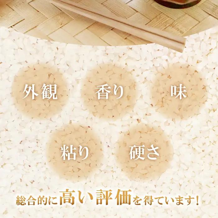 【毎月20日配送】 出雲國仁多米の玄米10kg定期便12回【仁多米 コシヒカリ こしひかり 玄米 定期便 10kg 12回 合計120kg ブランド米 お米 米 人気 令和7年度産 2025年度産 】