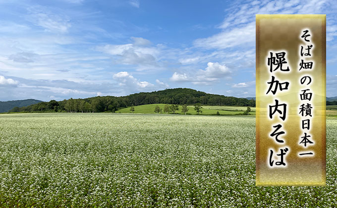 【年越しそば】冷凍 二八そば 大満足の250g×6人前 生麺 食塩不使用 大晦日 準備 蕎麦 ソバ 麺 のど越し 手打ち コシ 職人 自家製 石臼挽き お取り寄せ 国産 100％ 産地直送 年内配送 