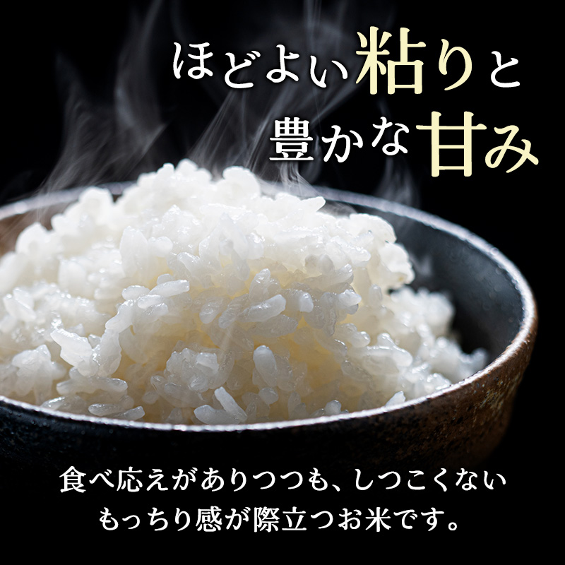 【6ヵ月定期配送】(精米10kg)ホクレンゆめぴりか(精米5kg×2袋)