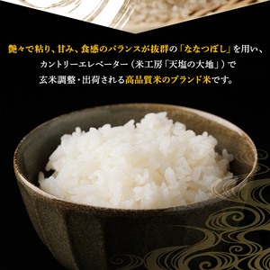 ＜定期便・全4回＞令和7年産 新米 JAブランド米 氷点の舞 ななつぼし (10kg×4回) 新米 米 お米 北海道米 北海道産 北海道米 士別市産 ごはん 精米 白米 10kg 40kg 定期便 【