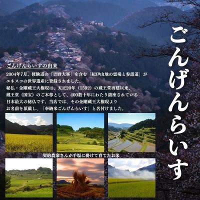 ふるさと納税 吉野町 【令和7年産先行受付】【定期便】ひのひかり 奈良のお米のお届け便　5kg×半年分 (6回) |  | 01