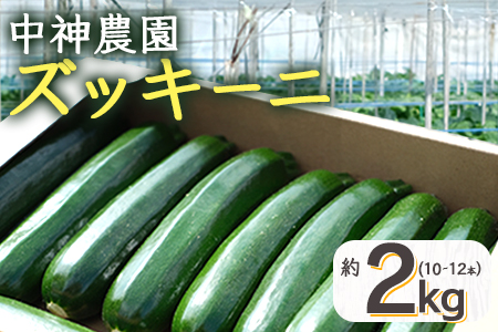 【産地直送】中神農園のズッキーニ 約2kg (10～12本) 【期間限定：11月下旬～5月下旬発送】野菜 ズッキーニ 熊本県 多良木町 国産 新鮮 2キロ 071-0506