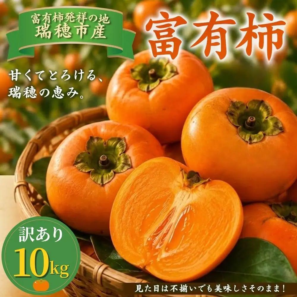 富有柿 訳あり 10kg | 柿 ※2026年11月～発送
