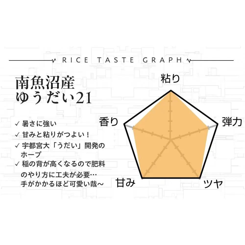 【令和8年新米予約】精米10kg 南魚沼産ゆうだい21（5kg×２袋）・農家直送_AG【令和8年10月中旬から1ヶ月以内に順次発送予定】 |ゆうだい