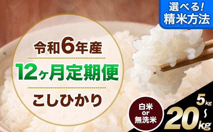 【12ヶ月定期便】令和6年産 無洗米 も 選べる 定期便 こしひかり 白米 or 無洗米 選べる精米方法 定期便 内容量 5kg 10kg15kg 20kg 白米 精米 無洗米 熊本県産(南阿蘇村産含む) 単一原料米 南阿蘇村《申込み翌月から発送》---kh6tei_144000_5kg_mo12_mna_h---