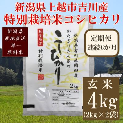 ふるさと納税 上越市 【毎月定期便】新潟県上越市吉川区国田産・特別栽培米コシヒカリ 玄米4kg(2kg×2袋)全6回