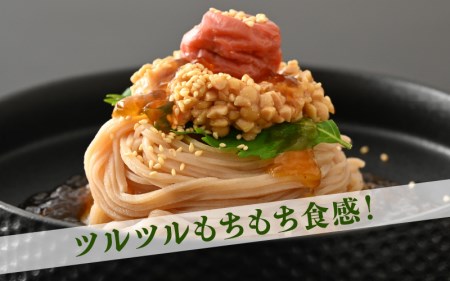 グルテンフリー 天使の玄米めん 6食入り（便利な小分け 100g × 6袋）【即席麺 動物性食品不使用 ビーガン 玄米 福井県】 [e10-a011]