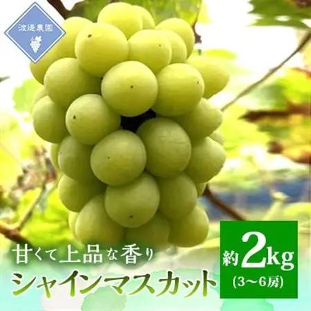 【先行予約 2026年発送】岡山県産　シャインマスカット　3房～6房(合計約2kg)【配送不可地域：離島】【1562256】