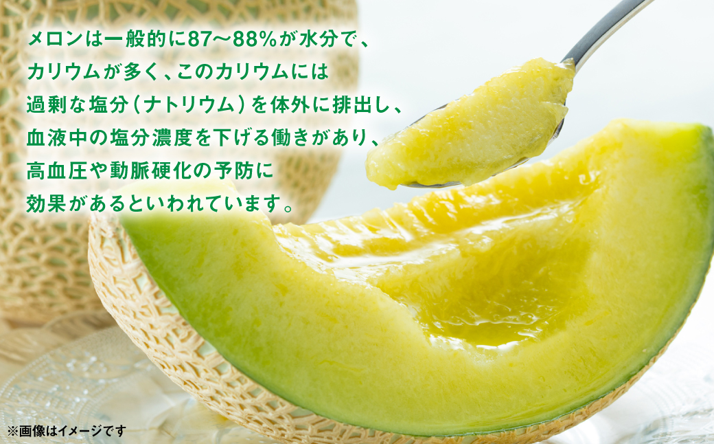 肥後グリーンメロン＆レノンメロン 食べ比べセット 合計2玉 4L以上（合計4kg以上） 青果物 くだもの フルーツ