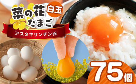 【2週間以内発送】白玉アスタキサンチン卵 75個｜菜の花エッグ 自社農場 すぐ発送 常温 抗酸化 健康 卵かけご飯 ギフト 君津養鶏場直送｜千葉県 君津市
