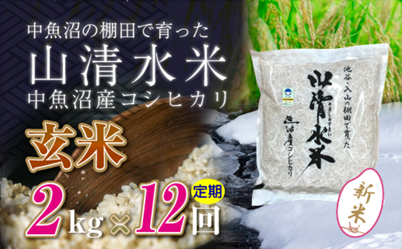 【令和6年産】【定期便／全12回】玄米2kg　新潟県魚沼産コシヒカリ「山清水米」十日町市 米