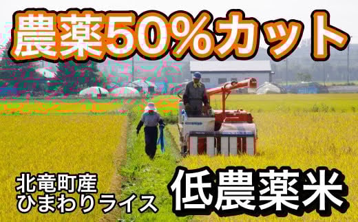 ゆめぴりかコンテスト2021最高金賞産地 令和4年産 ゆめぴりか 無洗米 低農薬米 5kg