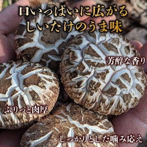 原木栽培 乾燥しいたけ 100g×2袋 計200g 原木 シイタケ しいたけ 椎茸 肉厚 芳醇 香り豊かなしいたけ 国産しいたけ 京都府産しいたけ 京丹波町産しいたけ きのこ 小分け うま味 おいしい