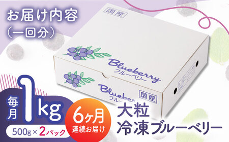 【6回定期便】大粒 冷凍ブルーベリー 約1000g（約500g×2pc）【すみれファーム】果物 フルーツ くだもの 大粒 小分け 熊本県産ブルーベリー [ZEP011]