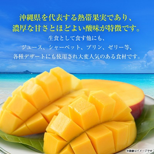 【2024年発送】＜ご家庭用・訳あり＞完熟アップルマンゴー約2kg(白箱)3玉～7玉【配送不可地域：離島】【1390903】