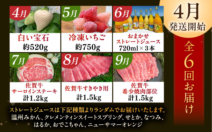 【全6回定期便】佐賀県の生産者を応援！いちご・みかんジュース・佐賀牛 佐賀の宝 定期便 / ストレートジュース 白い宝石 ステーキ すき焼き 焼肉 / 佐賀県ふるさと納税 [41AAZZ012]