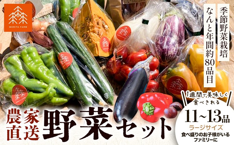 
            野菜 農家直送 新鮮 野菜 セット ラージサイズ 11～13品 《30日以内に出荷予定(土日祝除く)》 森田農園 青果物 やさい 千葉県 流山市
          