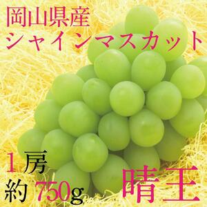 [HS]9月・10月発送 シャインマスカット 晴王 1房 約750g ｜ シャインマスカット