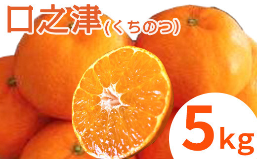
                  口之津(くちのつ)39号みかん(ハウス栽培) 唐津産 5kg
                