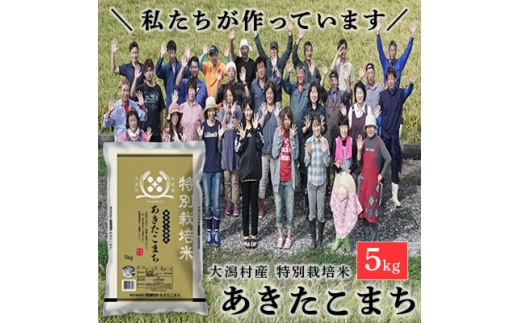 ＜令和7年産＞特別栽培米 あきたこまち 5kg 精米◆秋田県大潟村【1708571】