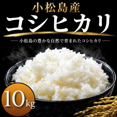 ふるさと納税 小松島市 令和7年産 コシヒカリ 10kg 白米 米 数量 限定 こしひかり 10キロ 米10kg