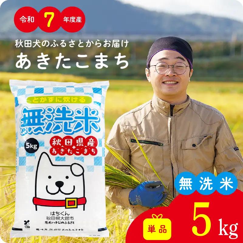 《令和7年産》無洗米 あきたこまち 5kg 無洗【真正ファーム】
