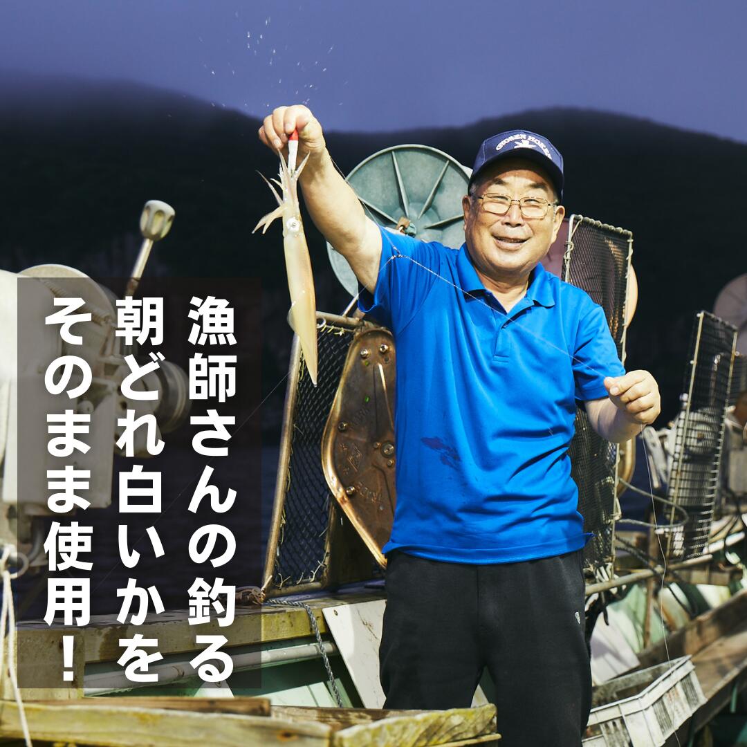 【のし付き】白いか＆いわがきのコロッケ （オリジナルベシャメルソース+ほくほくポテト）_イメージ2