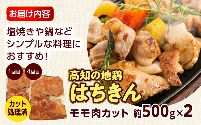 【6回定期便】高知の肉定期便〈はちきん地鶏・土佐あかうし・ハンバーグ〉大容量セット【合同会社土佐あぐりーど】 [ATBO036]