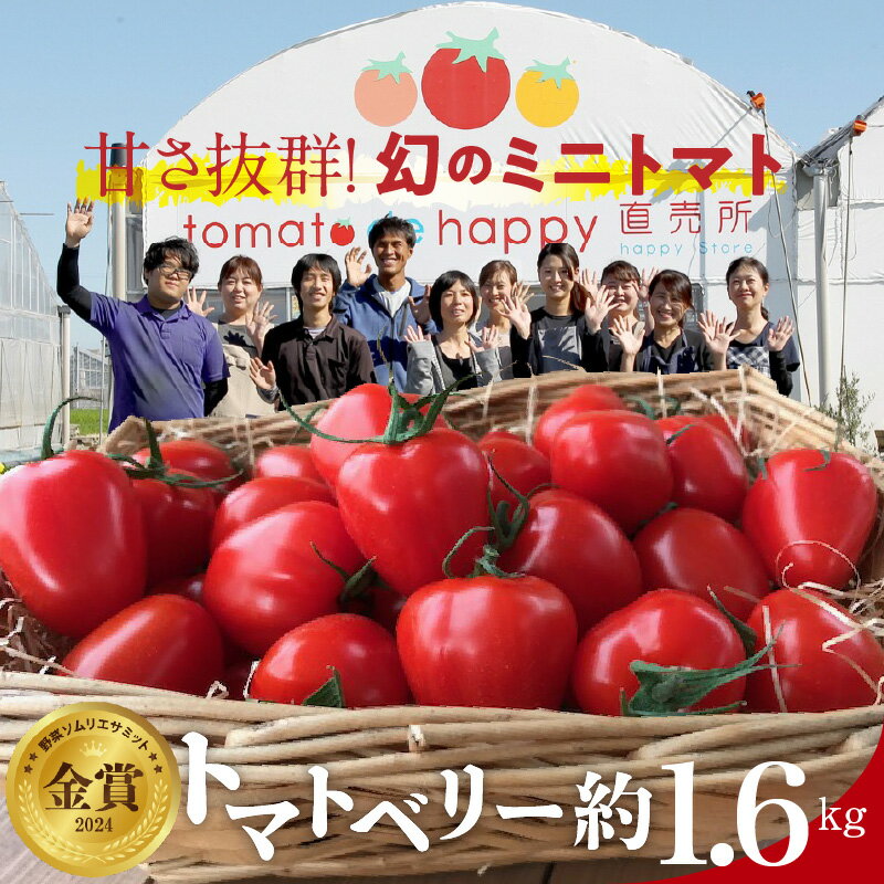 【ふるさと納税】【2026年度予約分】トマト トマトベリー 約1.6kg 甘さ抜群 国産 甘い 濃厚 幻 ミニトマト いちご型 野菜ソムリエサミット 金賞 受賞 皮が薄い フルーツミニトマト 長田農園 産地直送 リコピン 野菜 やさい フルーツ サラダ 濃厚 甘い 美容 健康 送料無料
