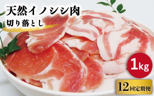 
										
										【12回定期便】ジビエ 天然イノシシ肉 切り落とし1kg（ぼたん鍋・煮込料理・野菜炒め用等）【照本食肉加工所】 [OAJ021]
									