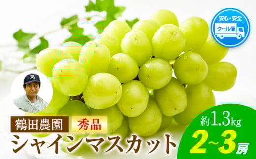【秀品】先行予約 シャインマスカット 鶴田農園 約1.3kg (2～3房) 熊本県荒尾市産《8月下旬-9月下旬頃出荷》熊本県 荒尾市 フルーツ 果物 送料無料 葡萄 ぶどう マスカット