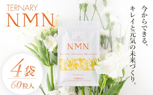 ターナリ―NMN（60粒入パウチ）×４袋【エイジングケア 高純度 健康維持 毎日習慣 国内工場 緑黄色野菜 ビタミンA ビタミンC ビタミンE NAD 美容 健康 カプセル 静岡 伊豆　RNA NMN nmn サプリ サプリメント 国内製造 高純度 耐酸性 カプセル タブレット 健康 サーチュイン】