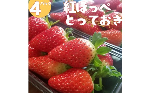 223MZ.ハワイいちご