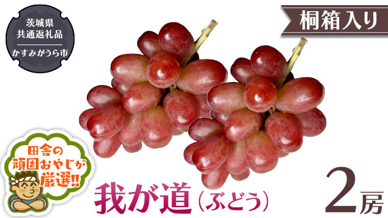 
            【 桐箱入り 】我が道 （ ぶどう ） 2房 【9月から発送開始】（県内共通返礼品：かすみがうら市産） ぶどう 我が道 果物 フルーツ 季節 旬
          