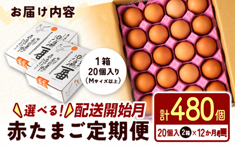＜児湯養鶏自慢の卵＞ネッカリッチ赤たまご「児湯一番」 計480個 （20個入×2箱）×12か月定期便【E19-2025-08】