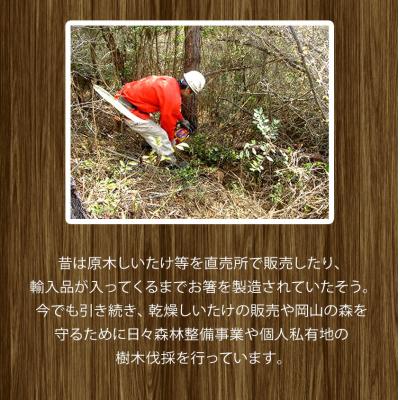 ふるさと納税 矢掛町 やかげの「原木乾燥しいたけ」300g 岡山県矢掛産《30日以内に出荷予定(土日祝除く)》 |  | 03