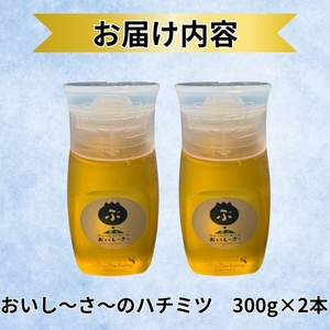長野県産はちみつ 600g（純粋・非加熱・天然100%） 信州 佐久市 無添加 国産 アカシア 蜂蜜 ハニー パン ヨーグルト 希少 ブルーベリー はちみつ