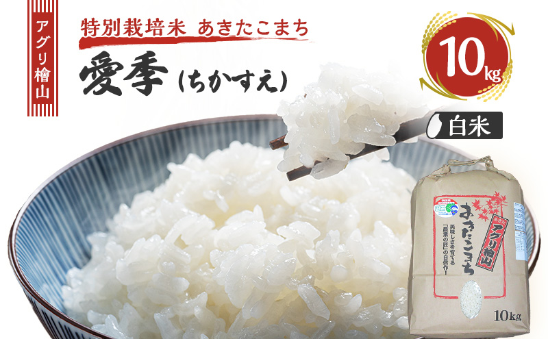 令和7年産 新米 アグリ檜山米 愛季(ちかすえ) 白米 10kg  あきたこまち  精米 お米 おこめ こめ コメ ごはん ご飯 大粒 令和7年  秋田 秋田県 能代市