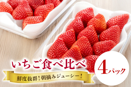 【 2026年 先行予約 】いちご 旬の苺 食べ比べセット 4p Rafすとろべりーふぁーむ イチゴ 苺 4パック 国産 果物 フルーツ くだもの 1月 2月 3月 発送 冬 旬 産地直送 農家直送 産直 甘い デザート スイーツ 家庭用 贈答 贈答用 茨城 茨城県 石岡市 (A27-002)
